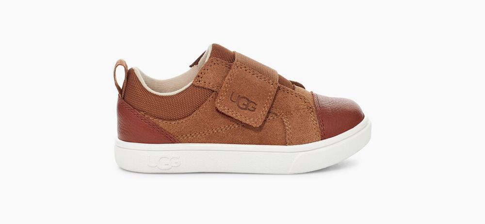 Ugg Sneaker Toddlers - Ugg Rennon Low Brown - 658BDXVFU